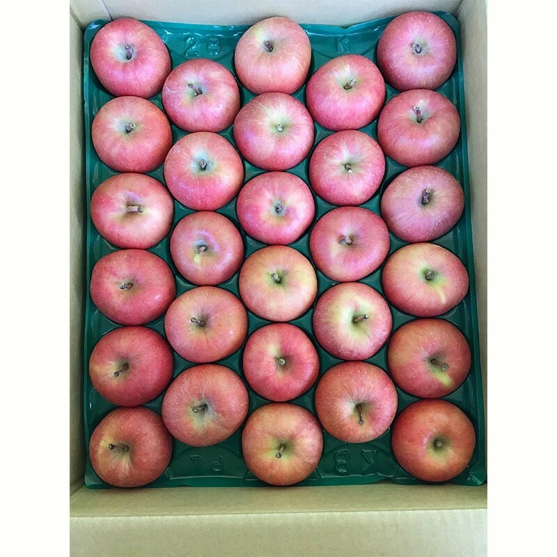 山形県中山町 蜜入りんご高徳 秀品 約5kg 20,000円