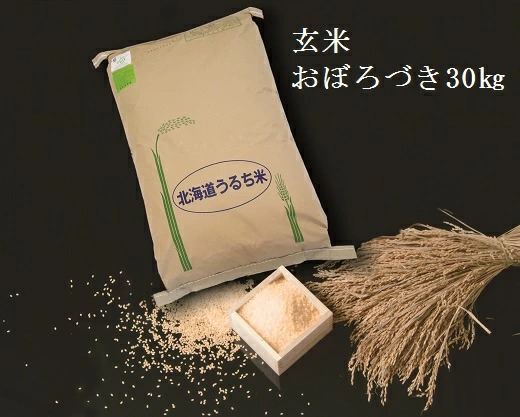 北海道北竜町 玄米おぼろづき30kg×1袋 25,000円
