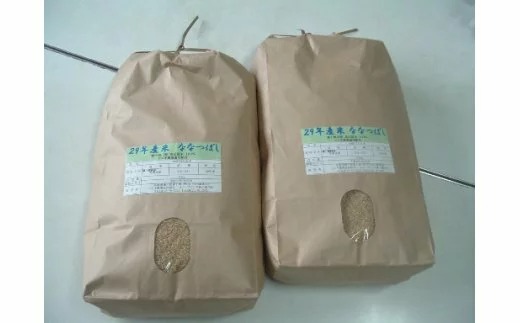 北海道新十津川町 ななつぼし 6回定期便 玄米計90kg 86,000円