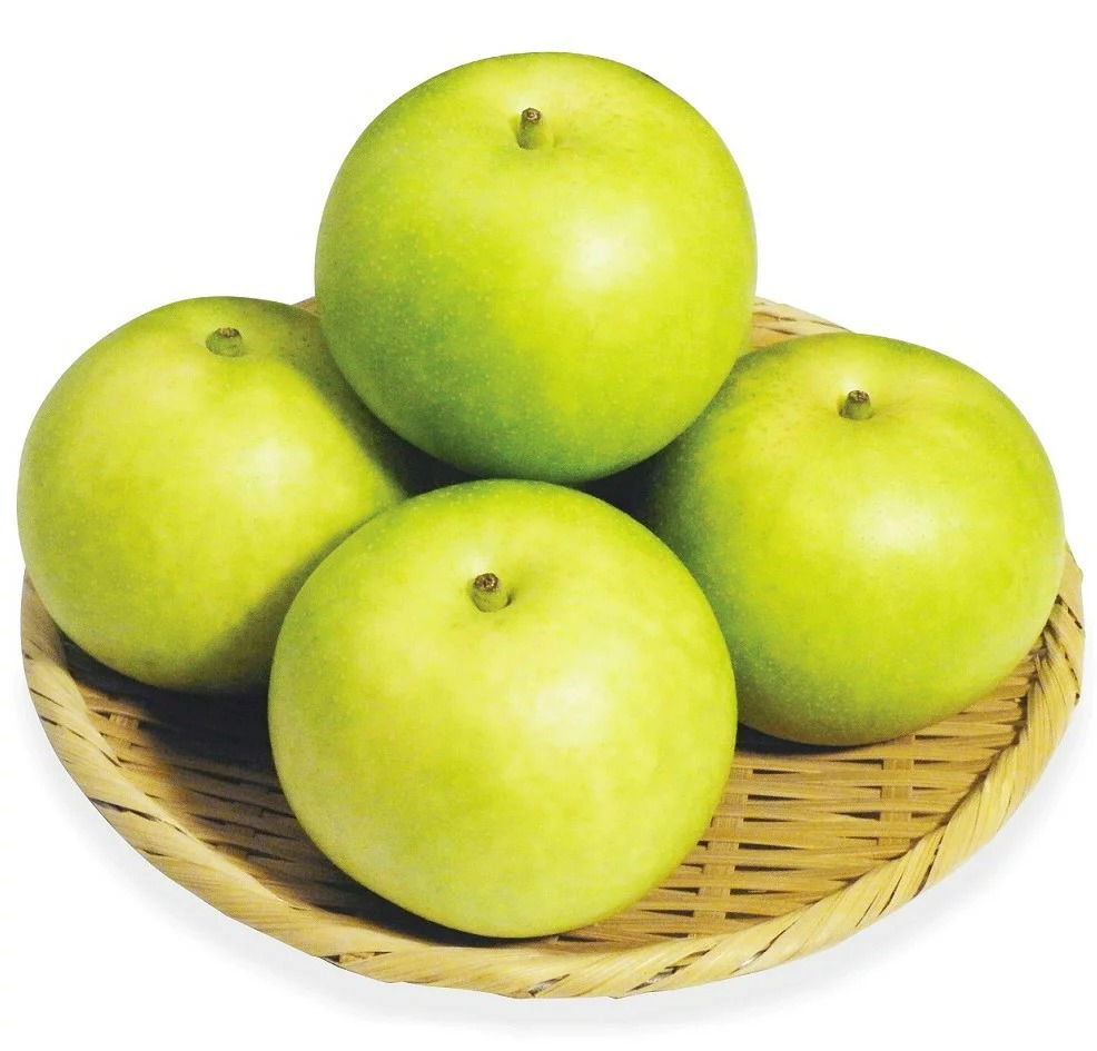 鳥取県大山町 二十世紀梨 5kg 14,000円