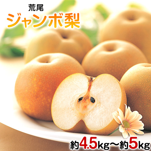 熊本県荒尾市 荒尾ジャンボ梨 4.5~5kg 12,000円