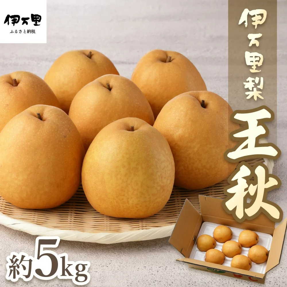 佐賀県伊万里市 伊万里梨 王秋 5kg 10,000円
