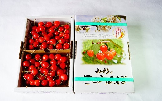 山形県上山市 さくらんぼ 佐藤錦 1kg 特秀品 L玉以上 25,000円