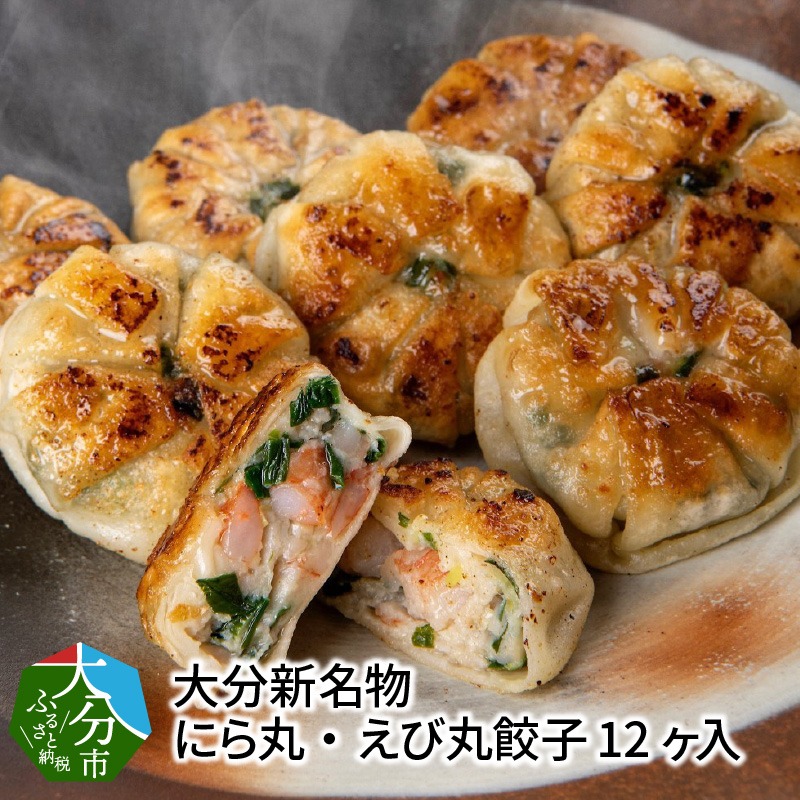 大分県大分市 大分新名物 にら丸・えび丸餃子 12ヶ入×各1パック 11,000円