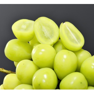 長野県中野市 産地直送 旬のシャインマスカット 1kg以上 10,000円