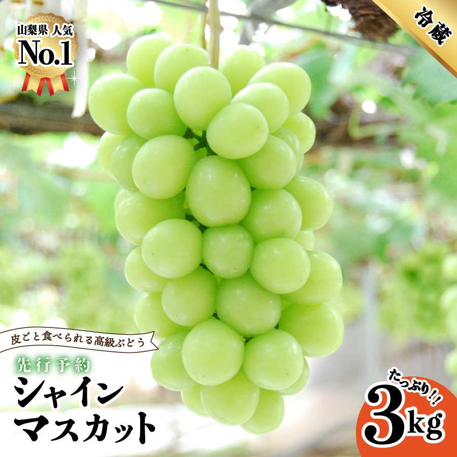 山梨県富士吉田市 山梨産シャインマスカット 3kg 25,000円