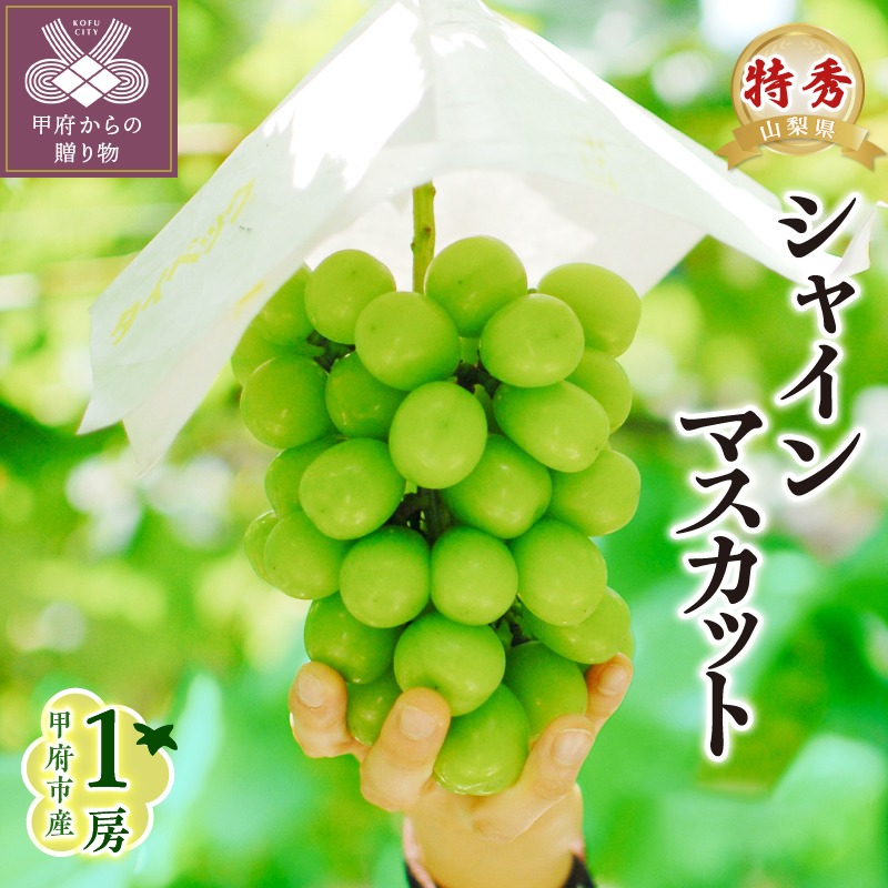 山梨県甲府市 Inakakara 特秀品シャインマスカット 1房 17,000円