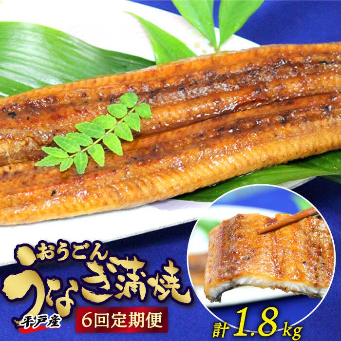 長崎県平戸市 長崎県産おうごんうなぎ 6回定期便 計1.8kg 120,000円