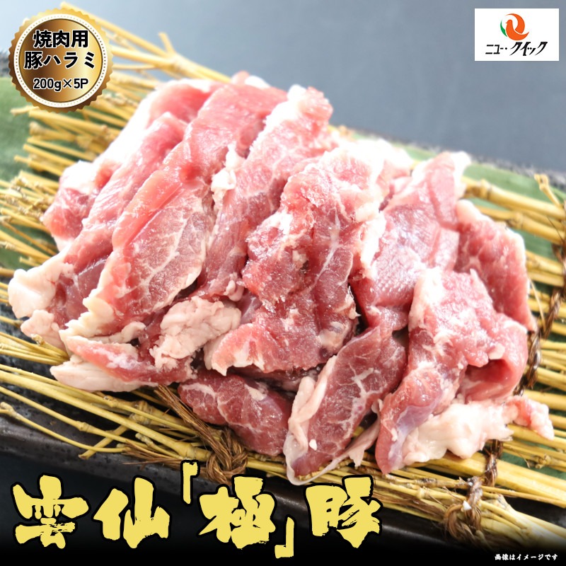 ニュー・クイック 国産豚ハラミスライス