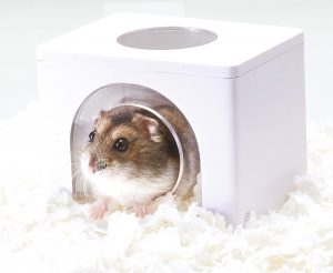 ハムスター用巣箱のおすすめ17選。さまざまな素材の製品をご紹介