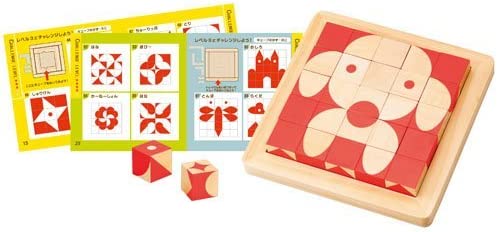 エド・インター 脳活キューブ