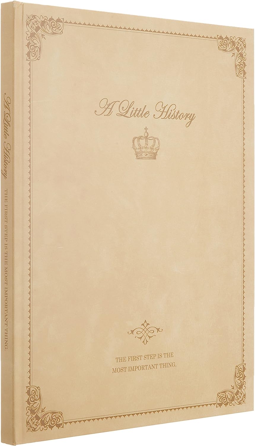 ナカバヤシ(Nakabayashi) 100年台紙黒 ブック式フリーアルバム クラシック A4ノビサイズ アH-A4PB-210
