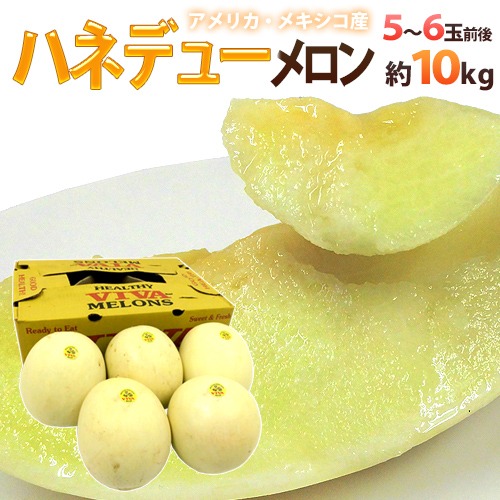 小西青果 ハネデューメロン 5~6玉前後 約10kg メキシコ・アメリカ産 他