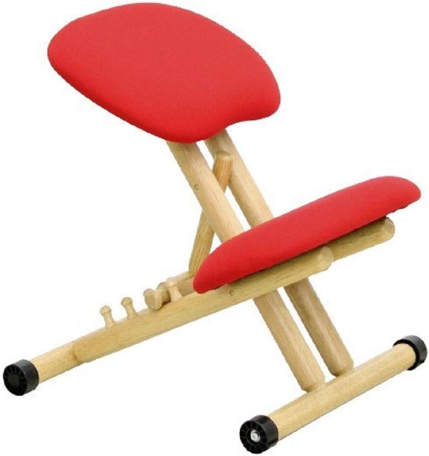 大商産業(daisho) スタイルチェア BC-101