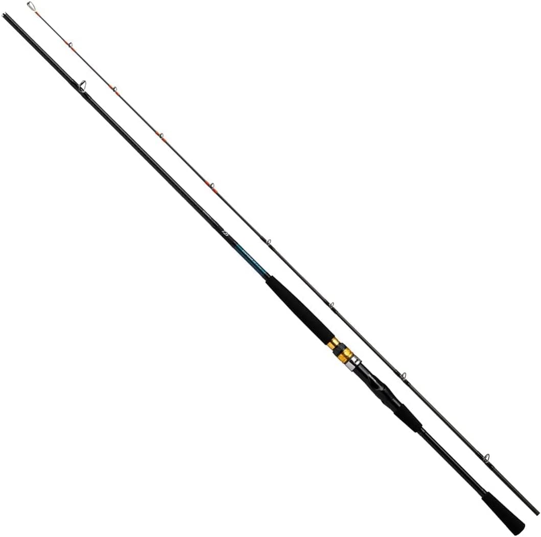 ２回使用ホリデーマリンSHIMANO　シマノ　64 30-270船竿　おすすめ Amazon | シマノ(SHIMANO) 汎用 船ロッド ホリデーマリン 64 30