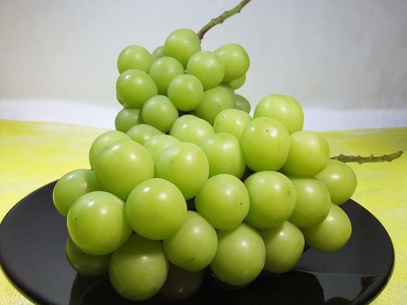 大和果園 岡山産 晴王 シャインマスカット