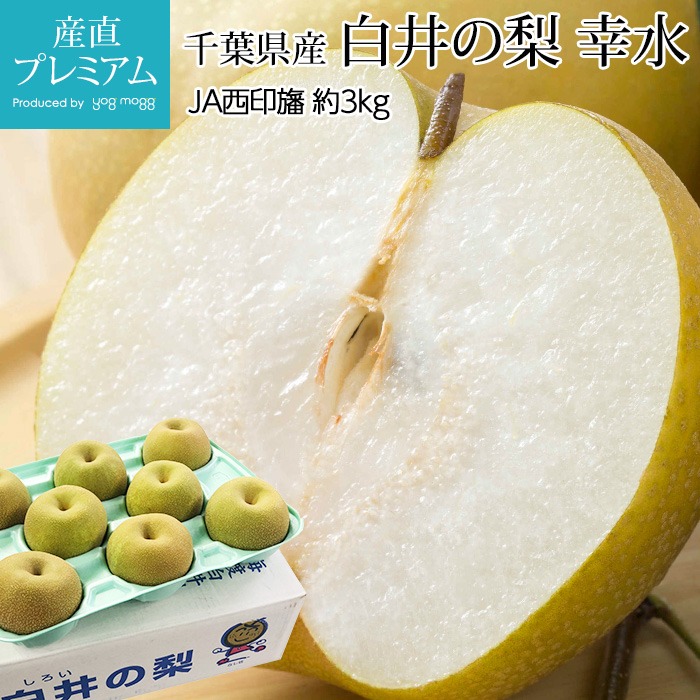 ヨグモグ 産直プレミアム なし 白井の梨 幸水