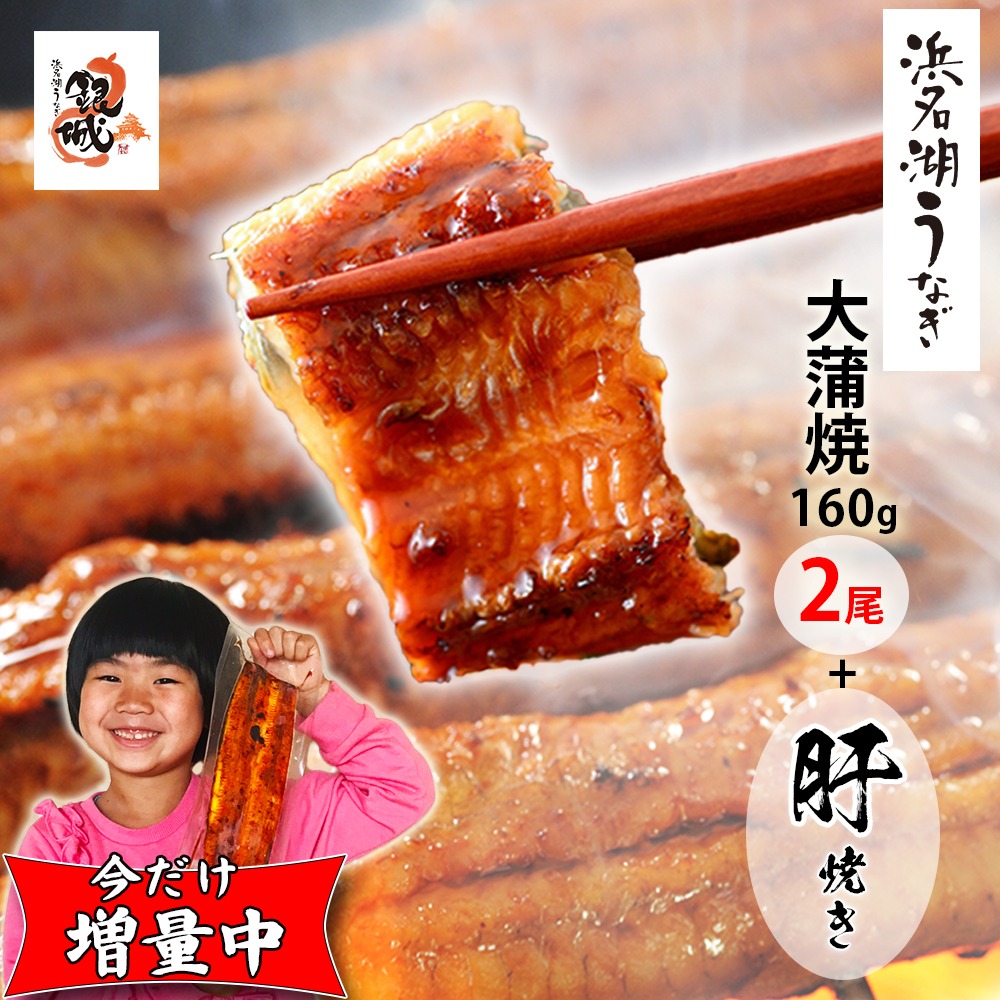浜松三星 浜名湖うなぎ長蒲焼 肝焼きセット