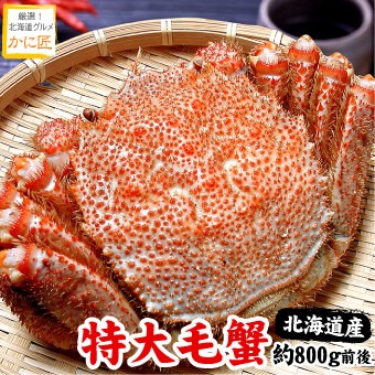かに匠本店 北海道産 毛ガニ