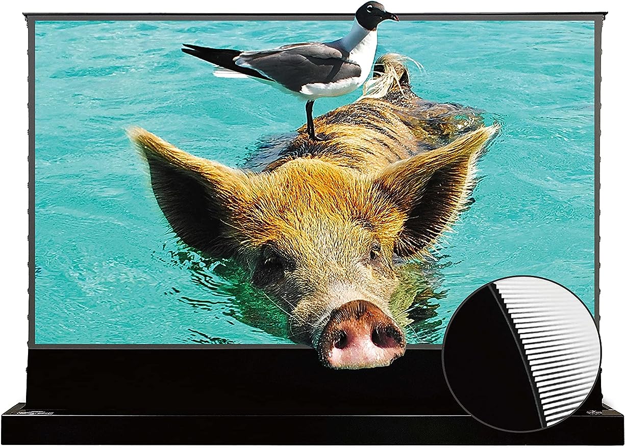 ビビッドストーム(VIVID STORM) 電動ポップアップスクリーン VSDSTUST100H-JP