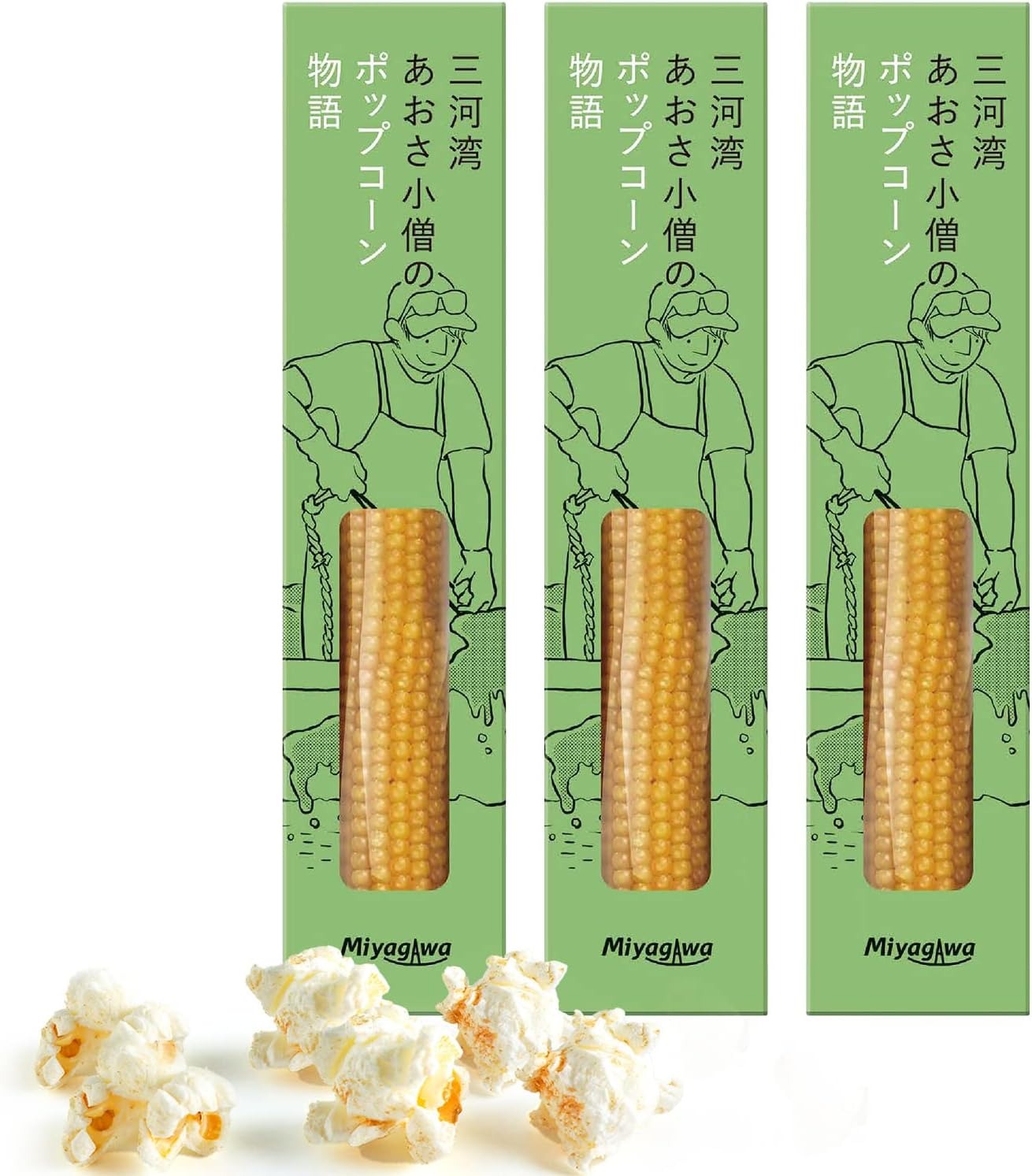 宮川産業 三河湾あおさ小僧のポップコーン物語