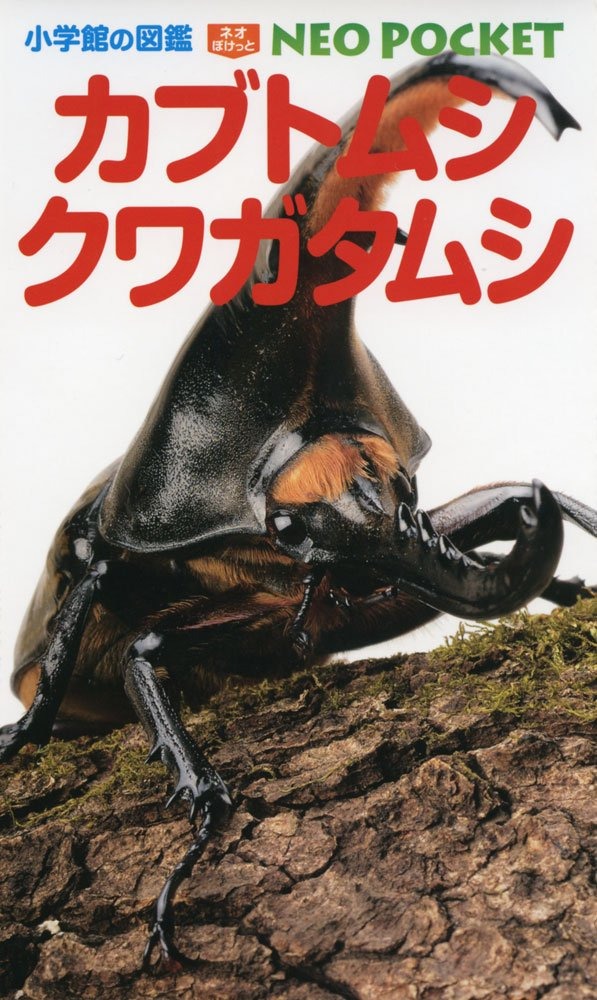 小学館 小学館の図鑑NEO POCKET カブトムシ・クワガタムシ