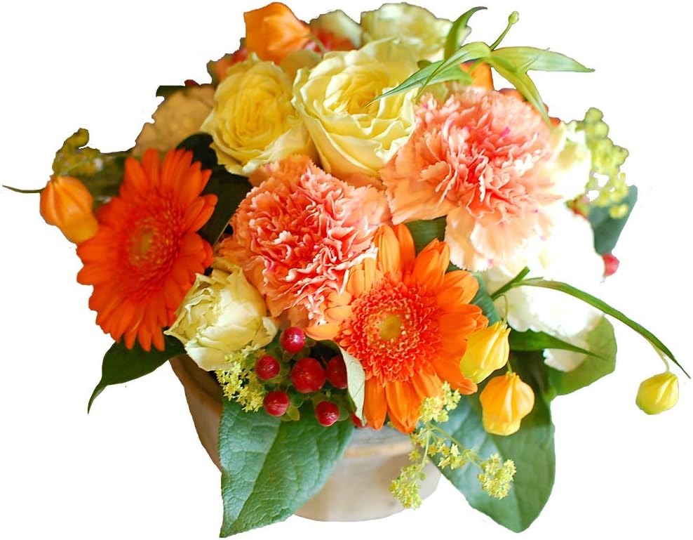 エフコーポレーション パラボッセ オーダーアレンジメント 花束Sサイズ