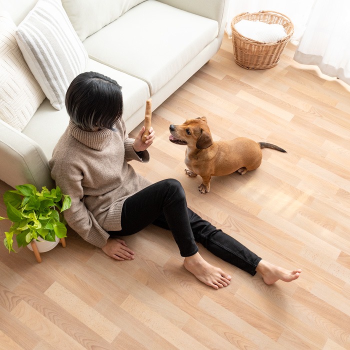 エアリゾームインテリア(Air Rhizome Interior) 滑らないフローリング調パイルカーペット asw-wpc