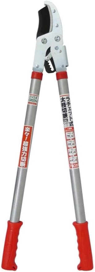 大進(DAISHIN) EVER GREEN ラチェット式太枝切鋏 DG-3