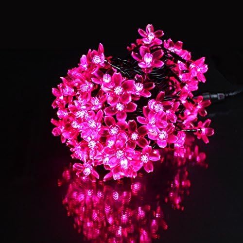 kameishoji イルミネーション 桜モチーフ