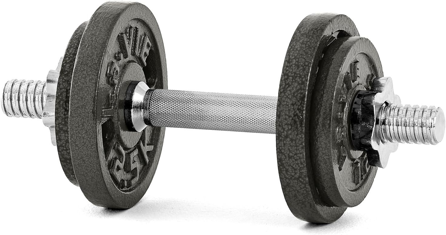 ラ・ヴィ(La-VIE) パワーダンベル 10kg 3B-3490