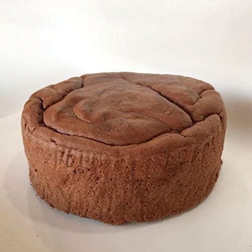 WAGOME グルテンフリー 豆乳米粉スポンジケーキ オーガニックココア