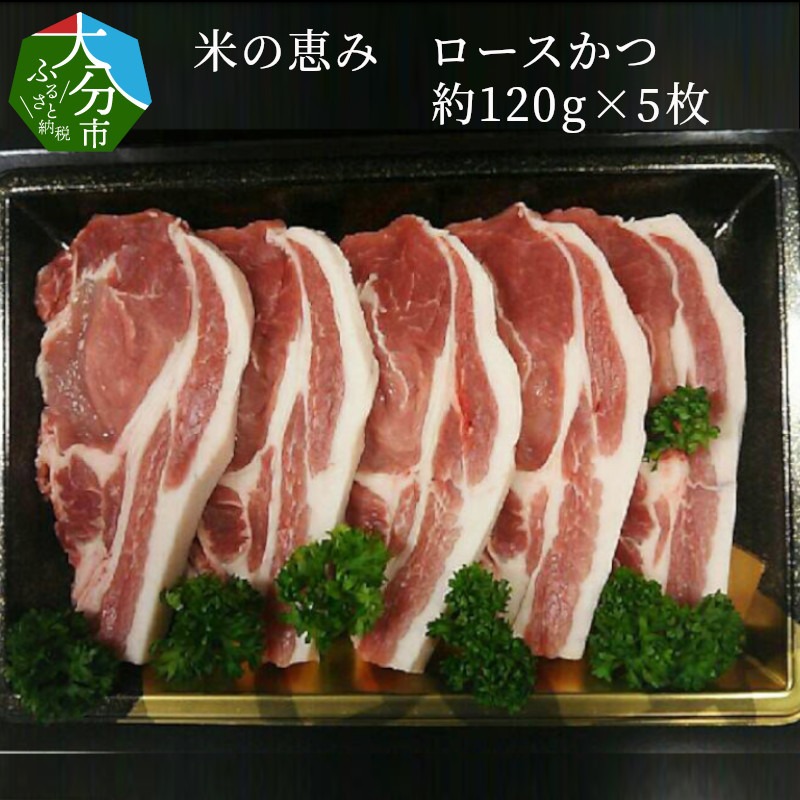 大分県大分市 米の恵み ロースかつ 約120g×5枚 8,000円