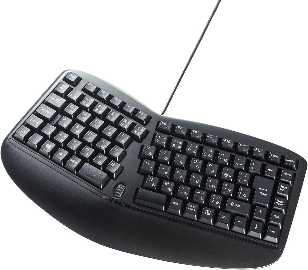 サンワサプライ(SANWA SUPPLY) エルゴノミクスキーボード SKB-ERG3BK 2018