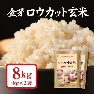 埼玉県坂戸市 金芽ロウカット玄米 無洗米 8kg 15,000円
