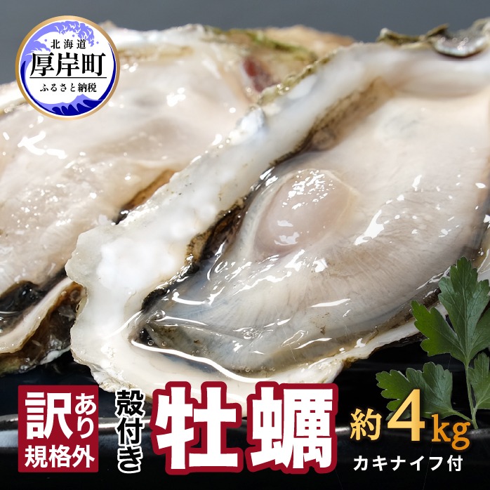 北海道厚岸町 訳あり 牡蠣 北海道厚岸産 殻付カキ 約4kg カキナイフ付 生食 22,000円