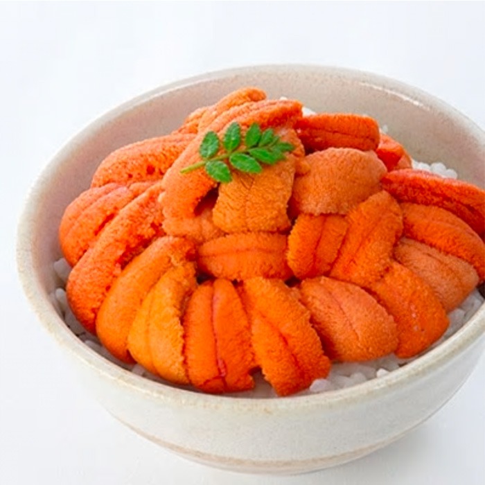 北海道根室市 エゾバフンウニ塩水パック80～90g×2P 25,000円