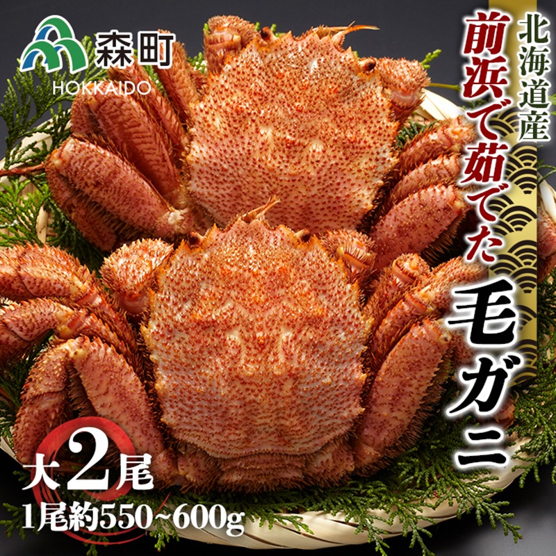北海道森町 前浜で茹でた毛がに大2尾 約550~600g×2尾 27,000円