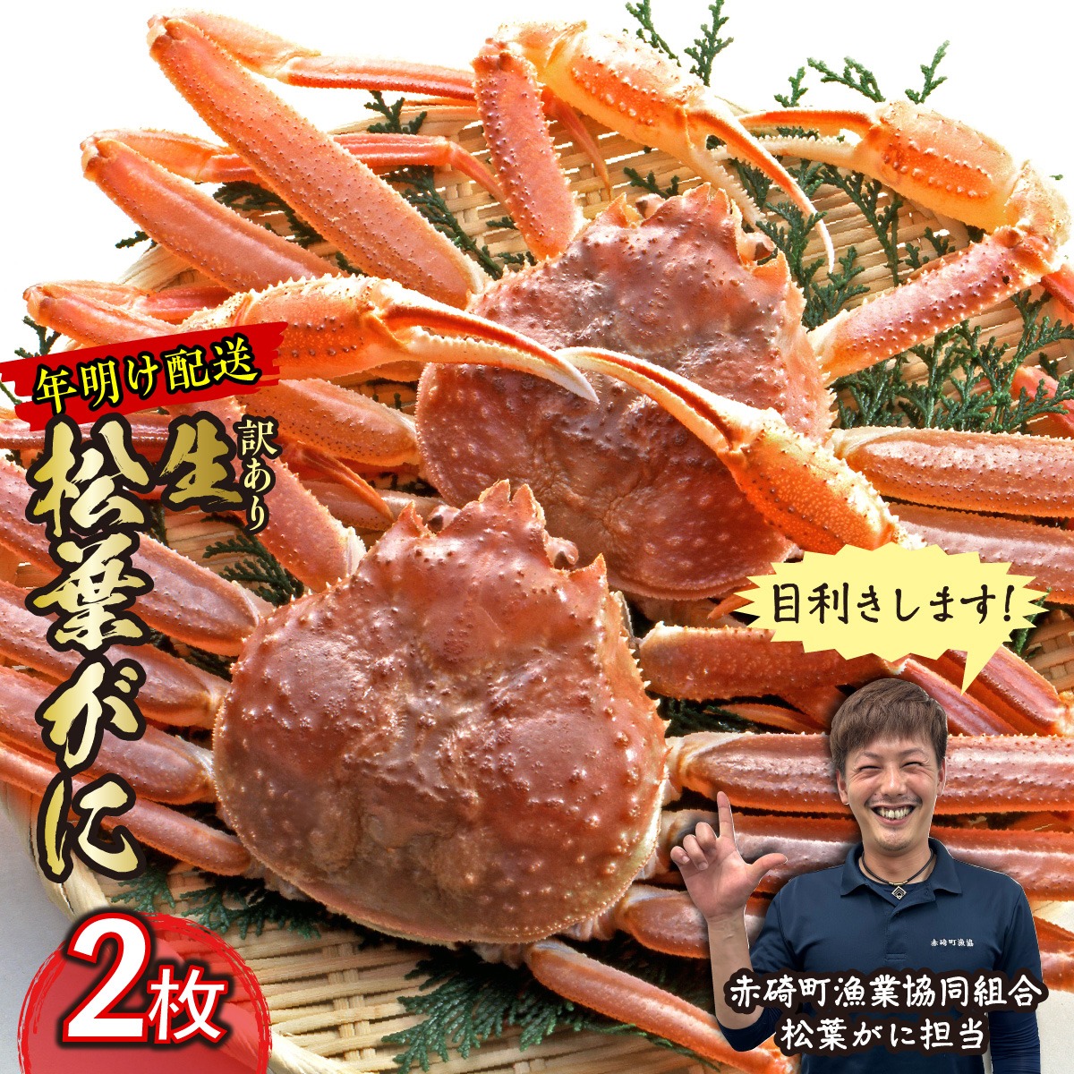 鳥取県琴浦町 訳あり 松葉ガニ生 2枚 45,000円
