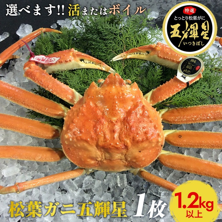 鳥取県北栄町 ボイル 鳥取ブランド 松葉ガニ 五輝星 267,000円