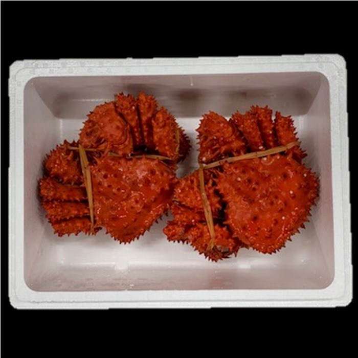 北海道根室市 北海道根室産 花咲がに500g×2尾 25,000円