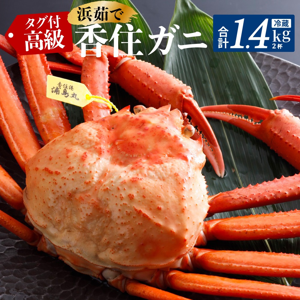 兵庫県香美町 タグ付き 浜茹で香住ガニ 700gUP 2杯入り 31,000円
