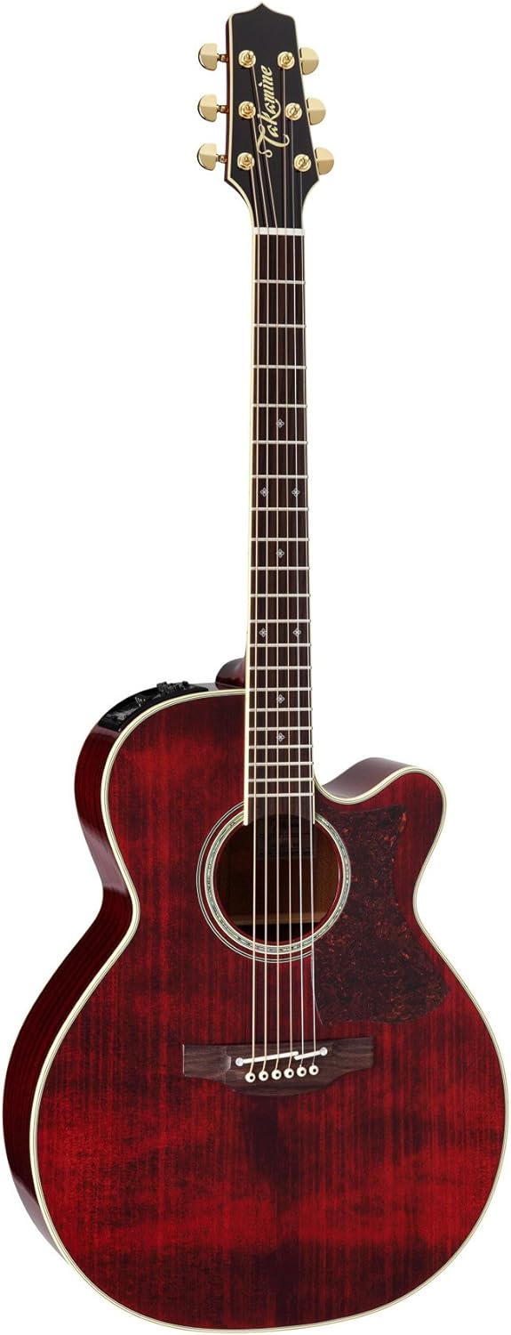 タカミネ(Takamine) エレアコ DMP551C WR