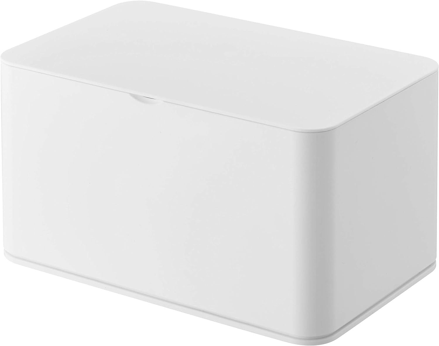 山崎実業 マスクケース スマート 4282