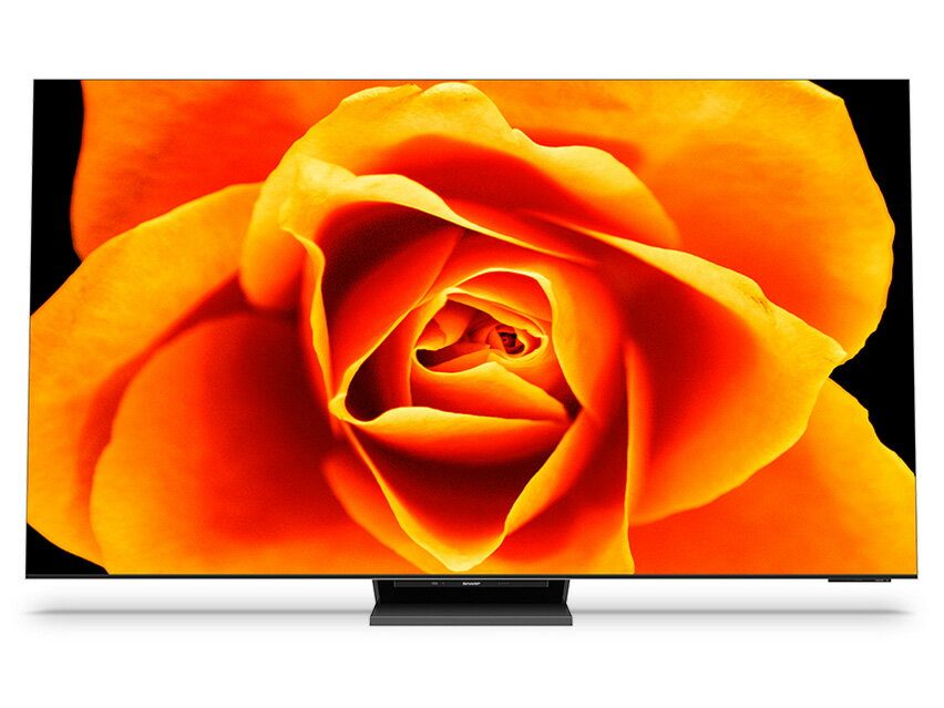 シャープ(SHARP) 8Kテレビ AQUOS XLED 8T-C65DX1 2021
