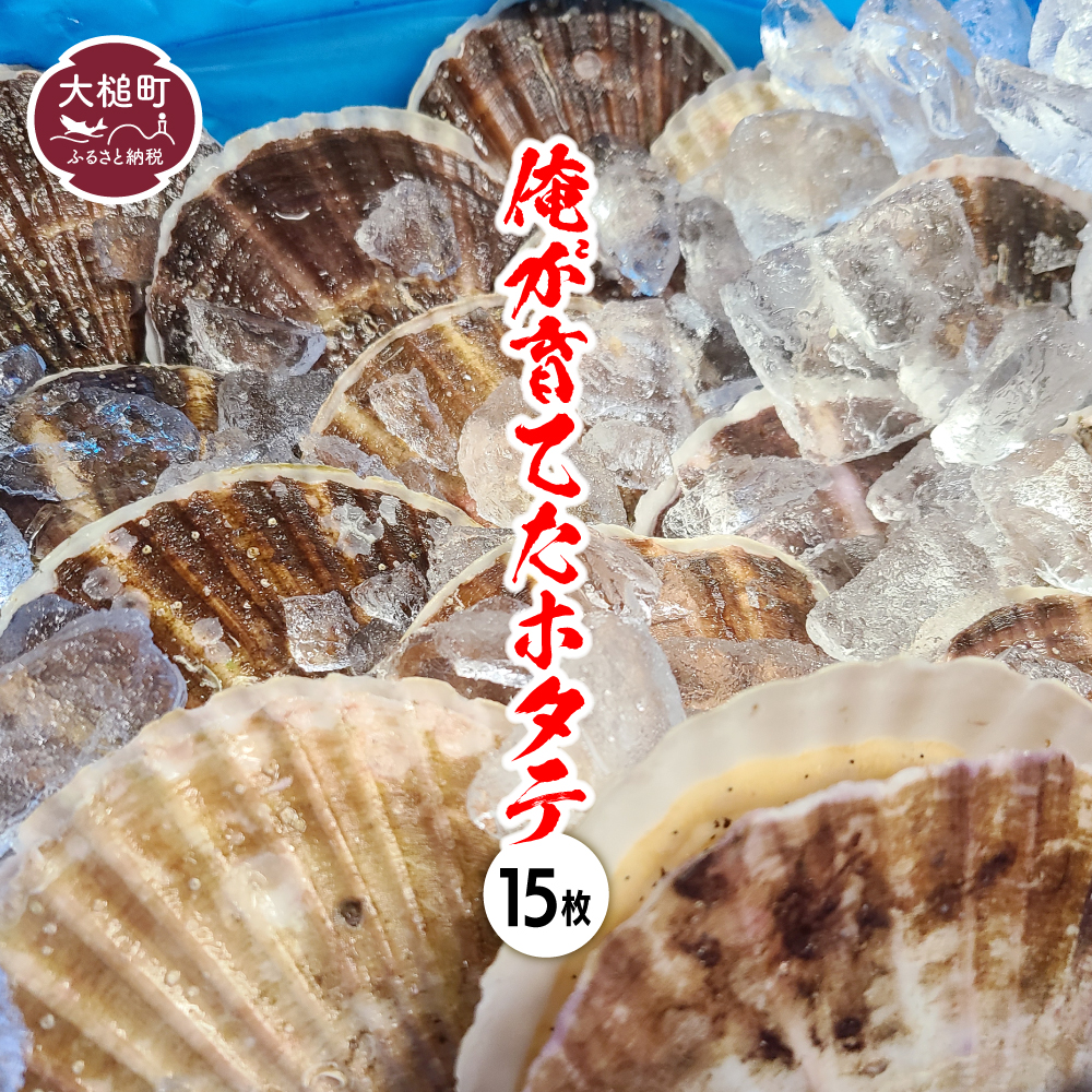 岩手県大槌町 俺が育てたホタテ15枚 17,000円