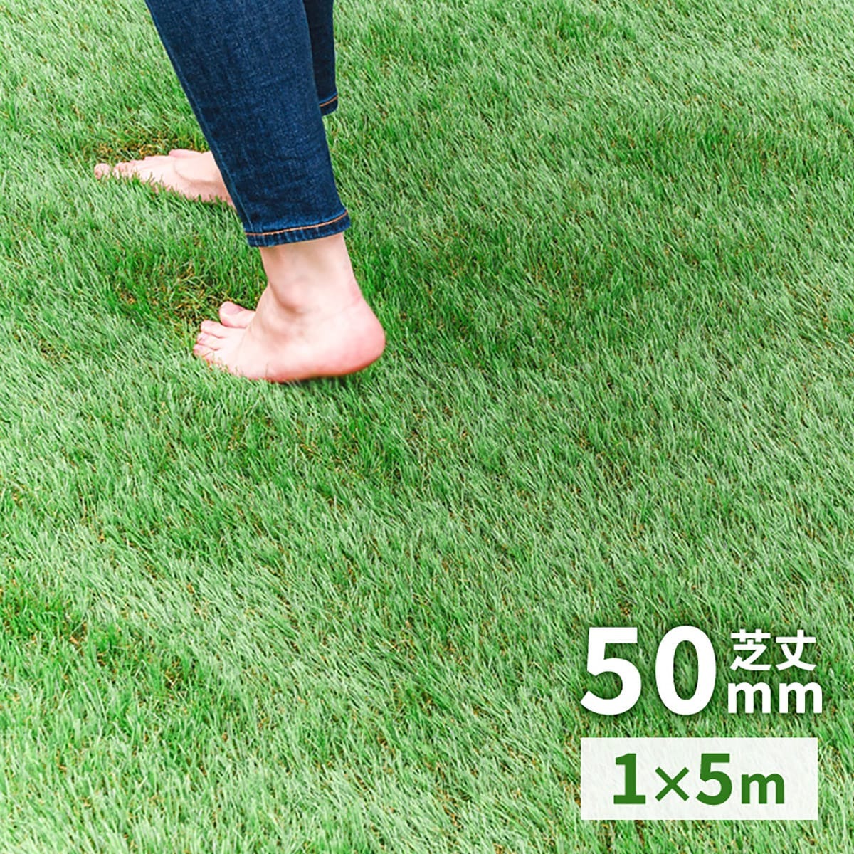 ニトリ(NITORI) 人工芝ロール 毛足5cm 5605042