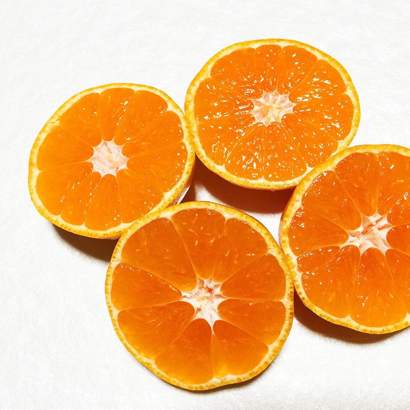 和歌山県湯浅町 有田みかん 約5kg SS Sサイズ 8,000円