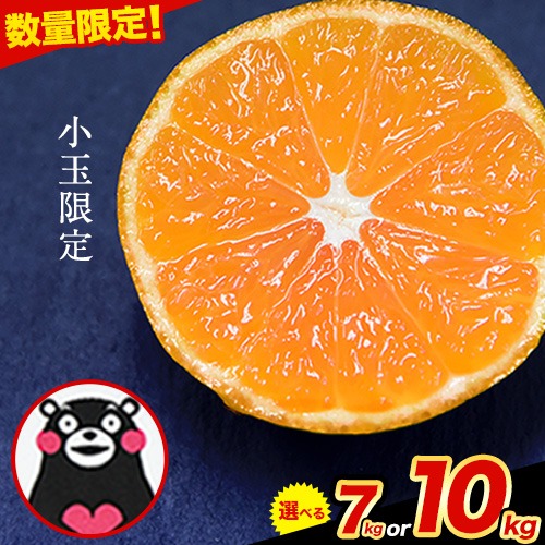 熊本県荒尾市 ひとくちもぎたて みかん 約7kg 3.5kg×2箱 S-3Sサイズ 訳あり 7,000円