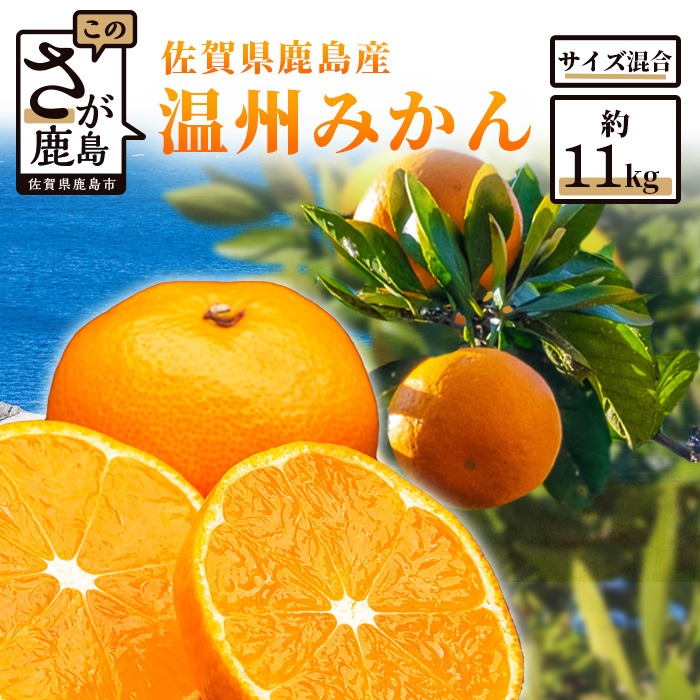 佐賀県鹿島市 佐賀県鹿島産 温州みかん 約11kg 10,000円